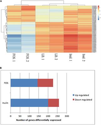 Full Transcriptomic Response of Pseudomonas aeruginosa to an Inulin-Derived Fructooligosaccharide